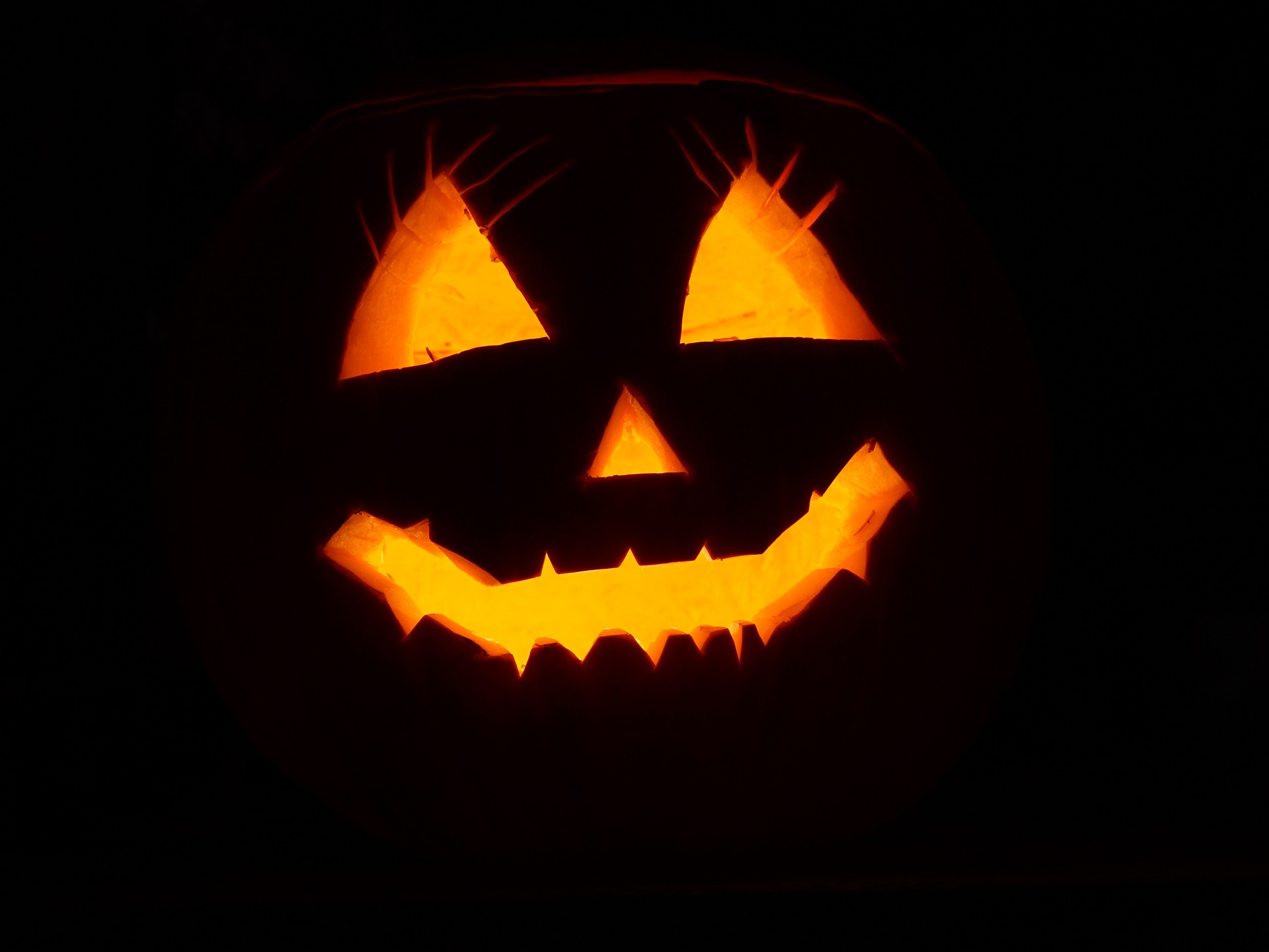 pumpkin-2892303_1920.jpg